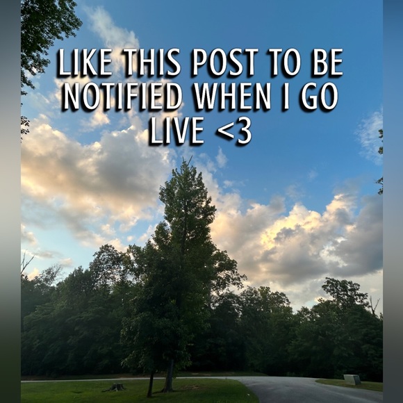 new items coming soon! - Picture 4 of 8